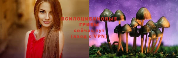 эйфоретик Алзамай