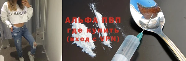 гашик Чердынь