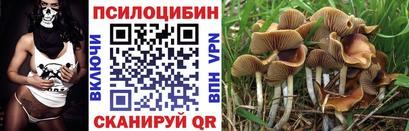Галлюциногенные грибы ЛСД  Заинск 