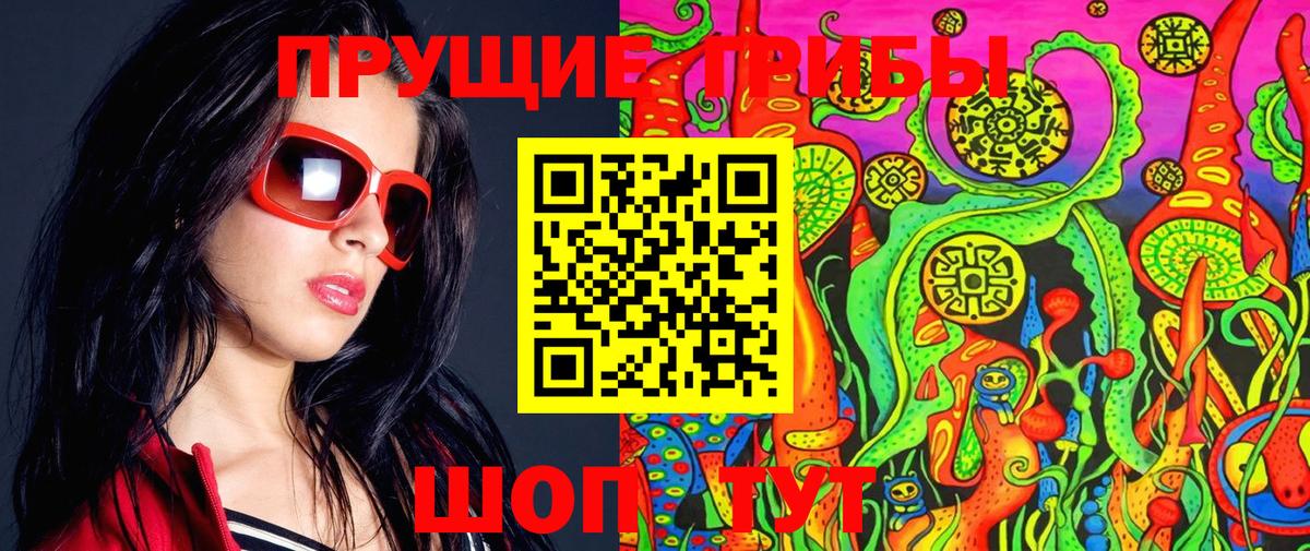 Галлюциногенные грибы MAGIC MUSHROOMS  Вход с VPN  Заинск 
